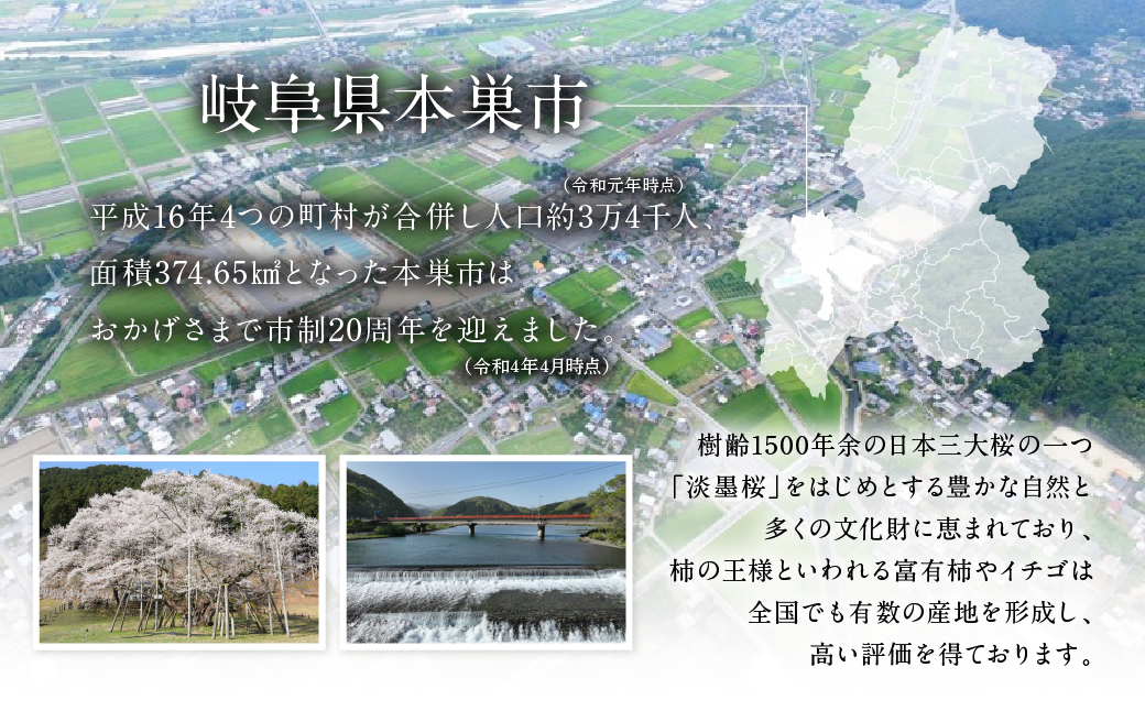 《返礼品なし》 ～ 岐阜県本巣市への寄付 応援寄附金 淡墨桜 千円 (返礼品はありません) [0960] 1000円