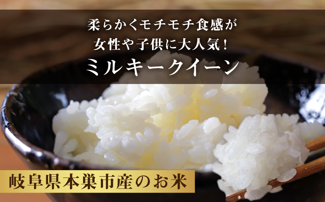 新米 令和6年産 ミルキークイーン 10kg ( 5kg ×2袋） 米 こめ ごはん 白米 岐阜県産 本巣市 お米 玄米もっちり 精米 おにぎり 弁当 もちもち 甘い 和食 寿司 アグリード [mt1556]