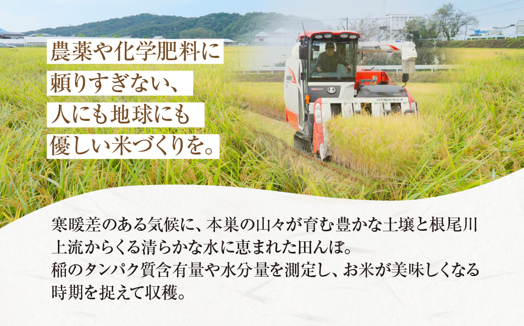 令和6年産 【織部の里米(R)】精米 ハツシモ5kg×1袋 岐阜県 本巣市産 米 もとすファーム