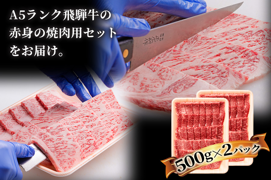 [3ヶ月定期便][A5等級]飛騨牛赤身肉焼き肉用 1kg(500g×2パック)『モモ・カタ肉』[0349]