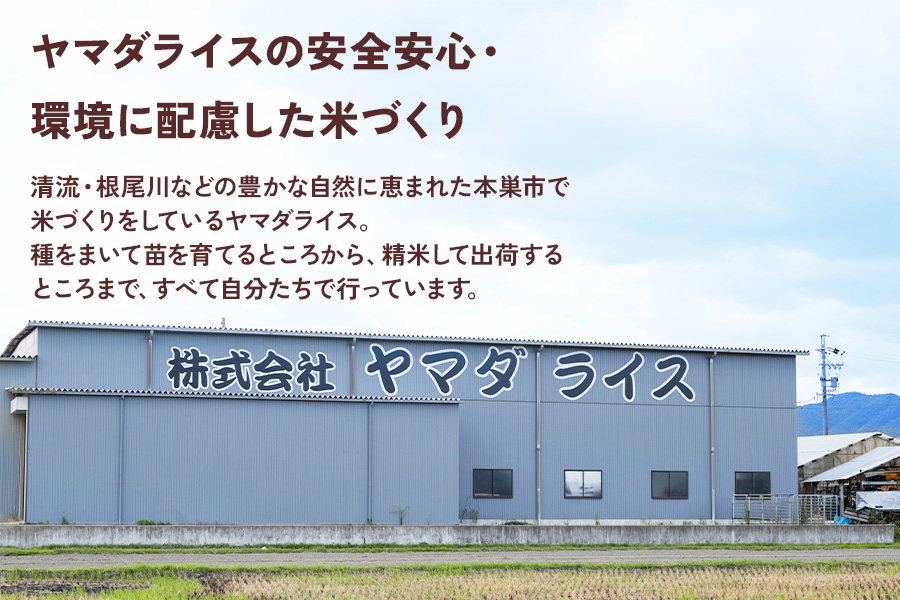 令和5年産 岐阜県本巣市産ハツシモ10kg(5kg×2袋) [mt1091]