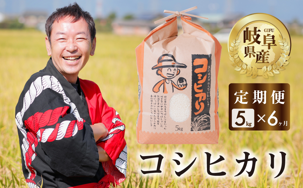 【 定期便 】 コシヒカリ 5kg × 6回 米 こめ ごはん 白米 岐阜県産 本巣市 お米 精米 おにぎり 弁当 こしひかり もっちり 旨味 甘い 和食 寿司 アグリード [mt557]