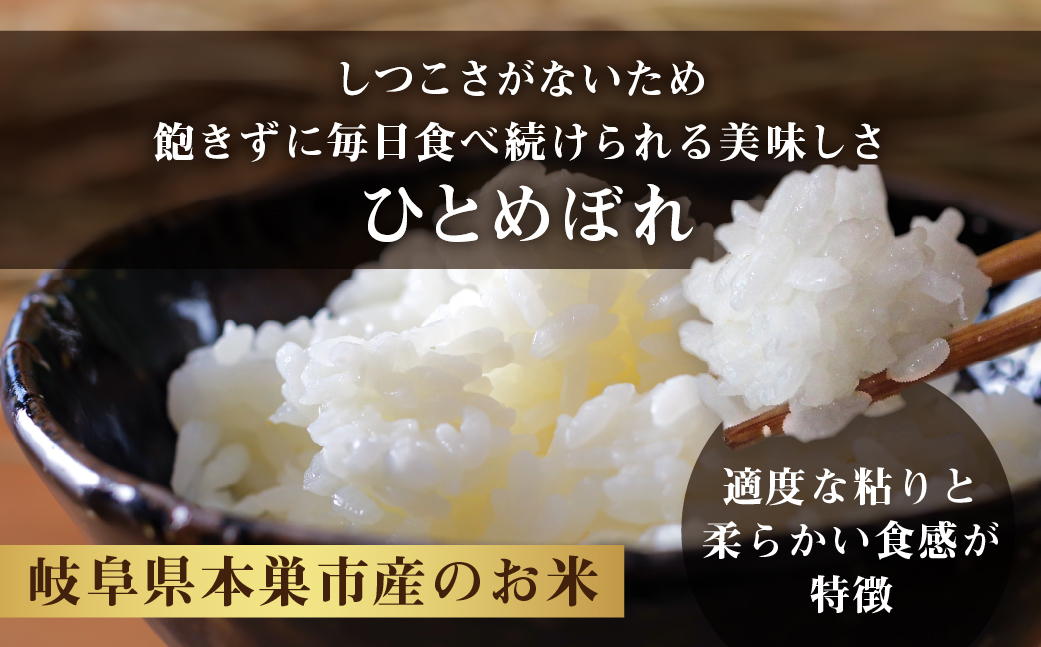 令和6年産 新米 ひとめぼれ 5kg 米 こめ ごはん 白米 岐阜県産 本巣市 お米 精米 おにぎり 弁当 旨味 甘い 和食 寿司 アグリード 先行予約 [mt553]