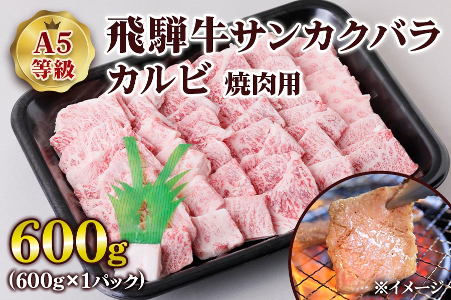 [A5等級] 飛騨牛サンカクバラカルビ焼き肉用600g [0860]