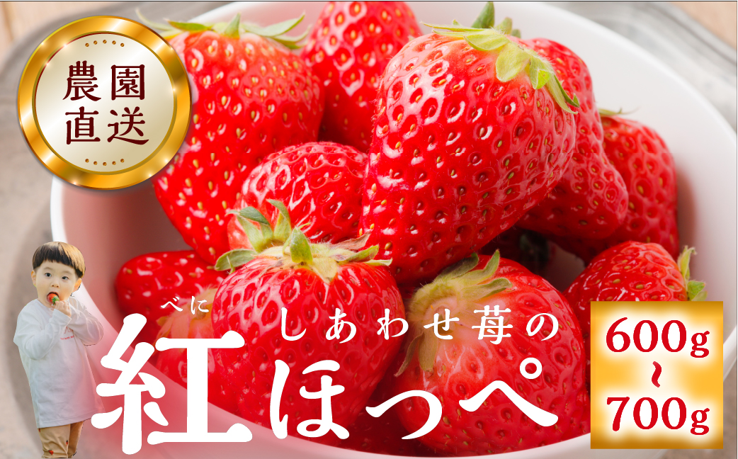 【12月下旬～発送】 先行予約 自宅用 いちご 紅ほっぺ 600-700g [しあわせ苺] サイズ バラバラ のため 訳あり 訳アリ 農園直送 フルーツ 大粒 スイーツ 苺 イチゴ 大人 人気 簡易梱包 家庭用 産地直送 いちご 激甘 送料無料 岐阜県 本巣市 2024年-2025年 【202409_フルーツ先行予約】いちご