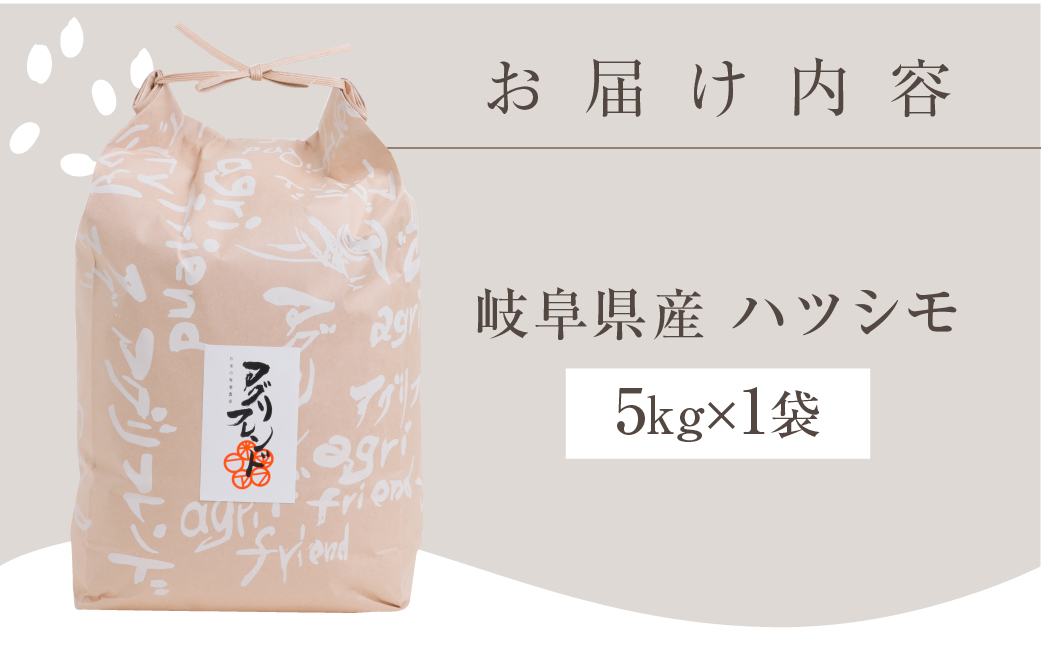 【令和6年度産】ハツシモ ( 精米 ) 5kg 有機肥料米 新米 幻の 米 こめ ごはん 白米 岐阜県産 本巣市 お米 玄米 精米 寿司 おすすめ アグリフレンド