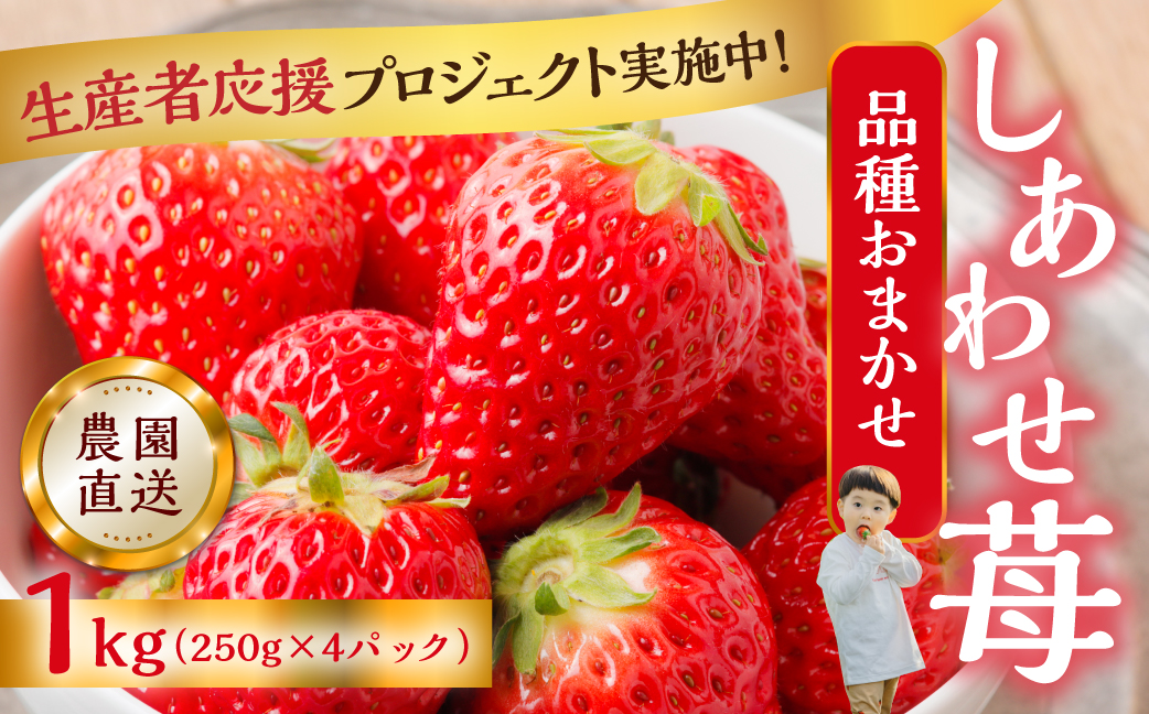 【応援プロジェクト限定品】2026年4月以降～発送 先行予約 自宅用 品種おまかせ いちご 1kg (250g × 4p) [しあわせ苺] サイズ バラバラ 訳あり 訳アリ 農園直送 フルーツ 果物 苺 イチゴ family農園watanabe 子ども 大人 人気 小分け 簡易梱包 家庭用 産地直送 紅ほっぺ よつぼし かおり野 岐阜 期間限定 いちご