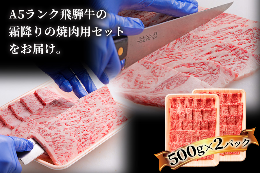 [6ヶ月定期便][A5等級]飛騨牛焼き肉用 1kg(500g×2パック)『ロース・肩ロース肉』[0346]