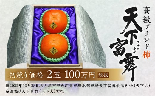 [先行予約／令和7年産] 岐阜の高級ブランド柿「天下富舞(てんかふぶ)」大将(たいしょう) 3玉入り 10月下旬～11月中旬に配送 [mt359]