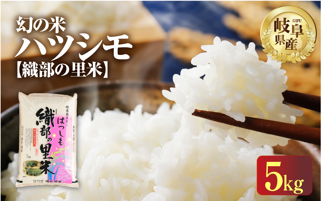 令和6年産 【織部の里米(R)】精米 ハツシモ5kg×1袋 岐阜県 本巣市産 米 もとすファーム