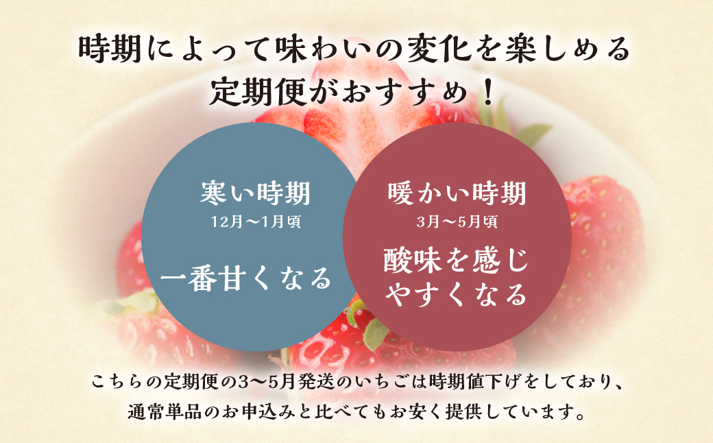 【定期便3回】いちご贅沢 紅ほっぺ 450g 1kg しあわせ苺 サイズ バラバラ 訳あり 訳アリ 含む 農園直送 [mt198] フルーツ 苺 イチゴ 人気 本巣市 果物 先行予約 [mt211]