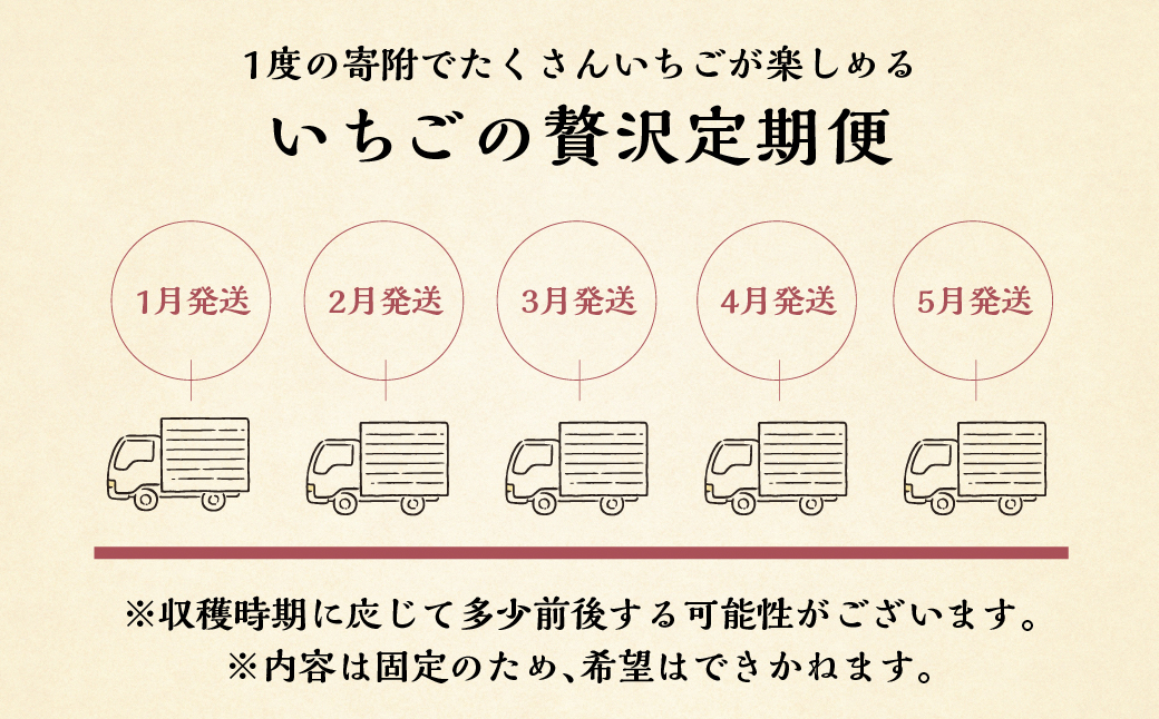 【定期便5回】いちご贅沢 定期便 5回 紅ほっぺ 600-700g 1kg しあわせ苺 サイズ バラバラ 訳あり 訳アリ 含む 農園直送 [mt198] フルーツ 苺 イチゴ 人気 本巣市 果物 2024年-2025年 先行予約 [mt526]