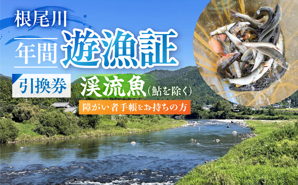 【障がい者手帳をお持ちの方　渓流魚（鮎を除く）年間遊漁証引換券（令和８年シーズン用）】 釣り 渓流魚 魚 さかな釣り 魚釣り 年間遊漁証引換券 年券 チケット 引換券 根尾川筋漁業協同組