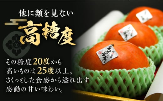 [先行予約／令和7年産] 岐阜の高級ブランド柿「天下富舞(てんかふぶ)」武士(もののふ) 8～12玉入り【ご家庭用】10月下旬～11月中旬に配送 [mt358]