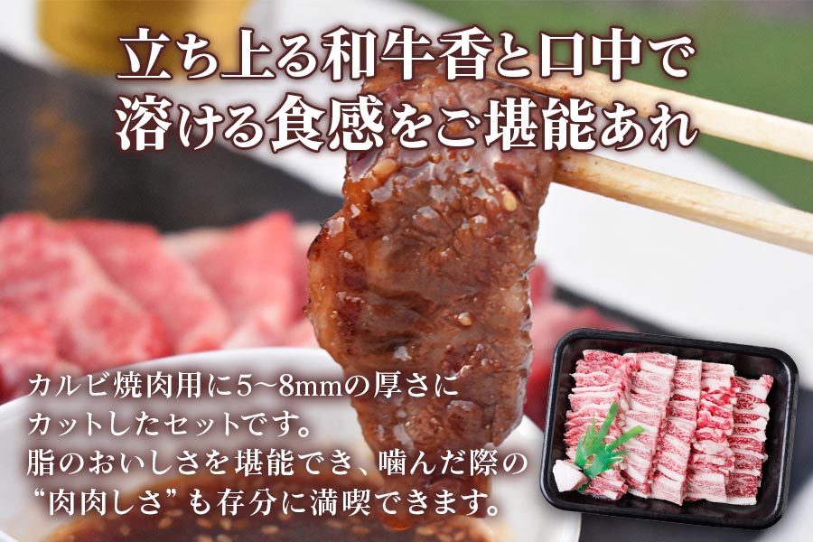 [A5等級] 飛騨牛バラカルビ焼肉用700g [0838]