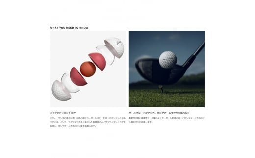 ゴルフボール] タイトリスト PRO V1X ローナンバー イエロー もとまる