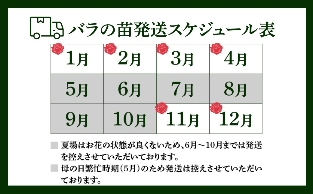 産地直送 ミニバラ 花束 50本 ラッピング付 切花 切り花 カットローズ 品種 色 おまかせ 訳あり 訳アリ 四季咲き ミニ バラ 花 ガーデニング 生産量 日本一 ※沖縄 離島配送不可 薔薇 セントラルローズ [mt2085]