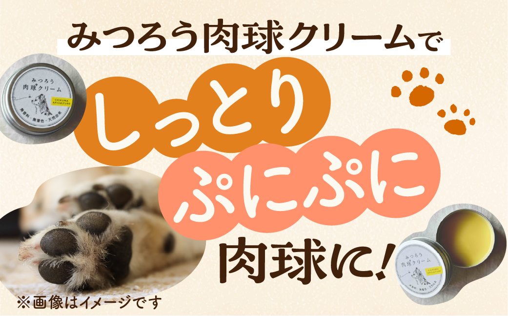 縲11譛医4譛医♀螻翫¢縲 蝗ス逕」縺ッ縺。縺ソ縺、 閧臥帥繧ッ繝ェ繝シ繝 縲 60g (30テ2) 縲 閧臥帥 繧ッ繝ェ繝シ繝 繝壹ャ繝 迥ャ 諢帷堪 繧ー繝繧コ 蝗ス逕」 繝医メ 逋セ闃ア 縺ッ縺。縺ソ縺、 繝上メ繝溘ヤ 陷り惧 騾∵侭辟。譁 繝√け繝樣、願怩 蟯宣懃恁逕」