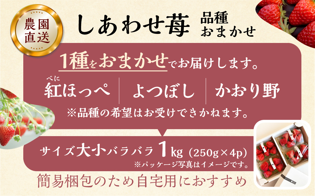 【応援プロジェクト限定品】2026年4月以降～発送 先行予約 自宅用 品種おまかせ いちご 1kg (250g × 4p) [しあわせ苺] サイズ バラバラ 訳あり 訳アリ 農園直送 フルーツ 果物 苺 イチゴ family農園watanabe 子ども 大人 人気 小分け 簡易梱包 家庭用 産地直送 紅ほっぺ よつぼし かおり野 岐阜 期間限定 いちご