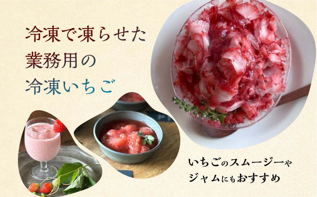 【2026年5月より発送】 《 訳あり 》 冷凍いちご 品種おまかせ 1kg (500g × 2p) 簡易梱包 サイズ 不揃い のため 訳あり 訳アリ フルーツ 果物 苺 いちご イチゴ 紅ほっぺ よつぼし かおり野 アイス ヨーグルト 苺 family農園watanabe 子ども 小分け 家庭用 国産 産地直送 岐阜県 本巣市 8000円 8千円 [mt1560_omkase]