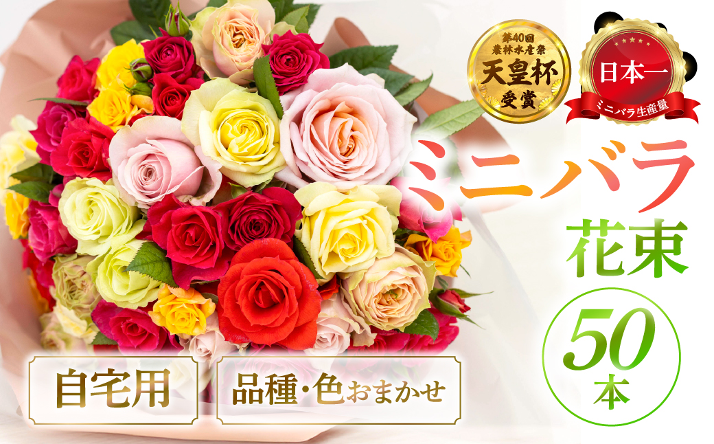 産地直送 ミニバラ 花束 50本 ラッピング付 切花 切り花 カットローズ 品種 色 おまかせ 訳あり 訳アリ 四季咲き ミニ バラ 花 ガーデニング 生産量 日本一 ※沖縄 離島配送不可 薔薇 セントラルローズ [mt2085]