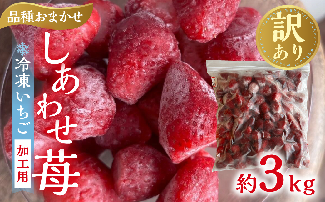 【2026年5月より発送】 《 業務用の大袋 》 加工向きな 冷凍いちご 品種おまかせ 3kg 簡易梱包 サイズ 不揃い のため 訳あり 訳アリ フルーツ 果物 苺 いちご イチゴ 紅ほっぺ よつぼし かおり野 アイス ヨーグルト シャーベット 苺 family農園watanabe 子ども 家庭用 業務 加工向け 国産 産地直送 岐阜県 本巣市 15000円 [mt1562]
