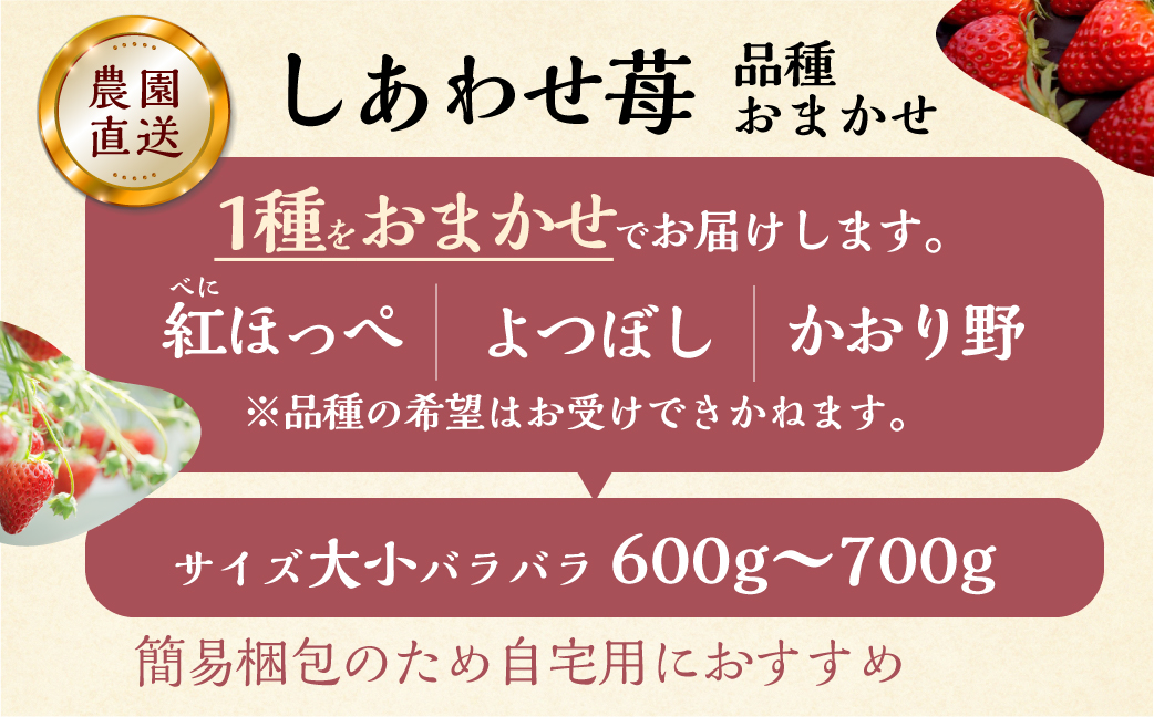【2026年1月以降発送】 自宅用 品種おまかせ いちご 600-700g [しあわせ苺] サイズ バラバラ のため 訳あり 訳アリ 農園直送 こだわりの 甘さ フルーツ 先行予約 スイーツ 苺 イチゴ 大人 人気 簡易梱包 家庭用 産地直送 紅ほっぺ よつぼし かおり野 いちご 送料無料 岐阜県 本巣市 [mt206] family農園watanabe