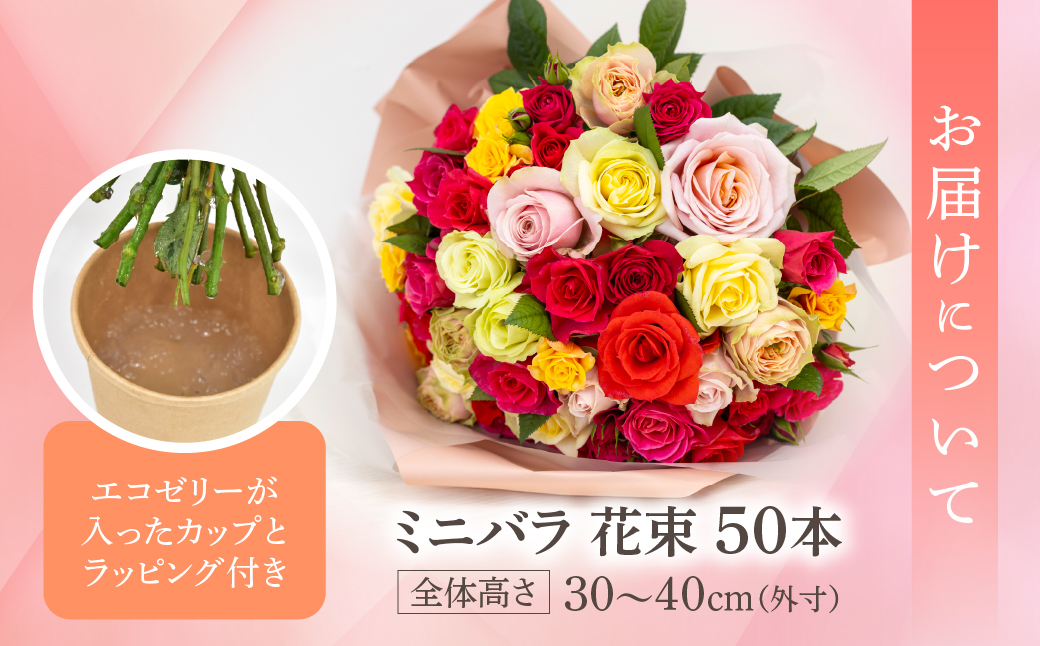産地直送 ミニバラ 花束 50本 ラッピング付 切花 切り花 カットローズ 品種 色 おまかせ 訳あり 訳アリ 四季咲き ミニ バラ 花 ガーデニング 生産量 日本一 ※沖縄 離島配送不可 薔薇 セントラルローズ [mt2085]