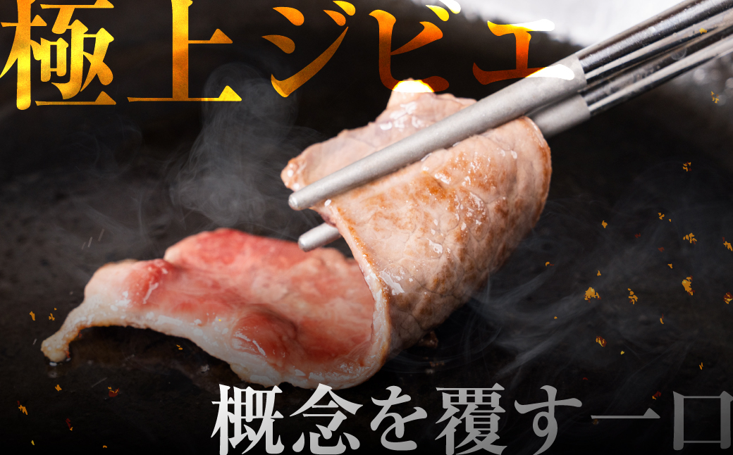 ジビエ 鹿 鹿肉バラ 600g 赤身 赤身肉 鹿 シカ 鹿肉 シカ肉 鍋 焼肉 炒め物 冷凍  8000円 8千円 [mt2196]