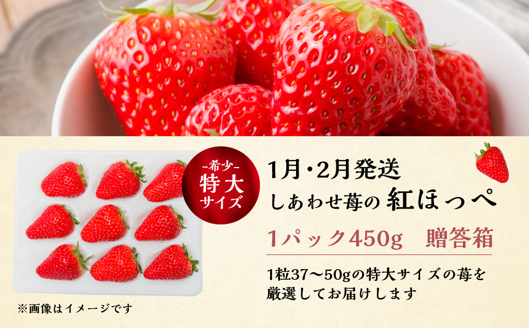 【定期便5回】いちご贅沢 定期便 5回 紅ほっぺ 600-700g 1kg しあわせ苺 サイズ バラバラ 訳あり 訳アリ 含む 農園直送 [mt198] フルーツ 苺 イチゴ 人気 本巣市 果物 2024年-2025年 先行予約 [mt526]