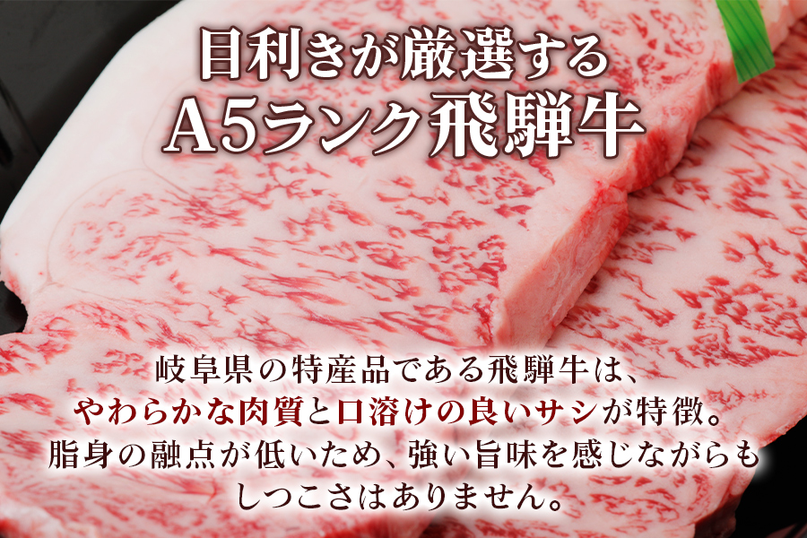 [A5等級] 飛騨牛サーロインステーキ400g(200g×2枚) [0834]