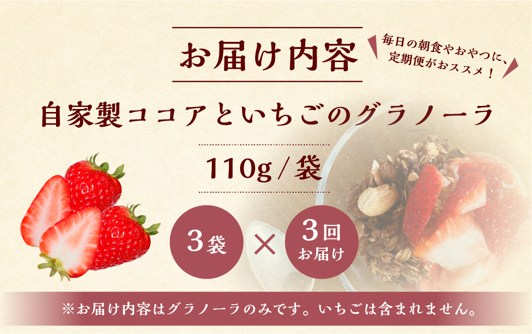 【3回定期便】いちごとココアのグラノーラ3袋 family農園watanabe ココア いちご 紅ほっぺ シリアル 朝食 ギフト ｜フルーツ スイーツ 苺 牛乳 デザート おやつ イチゴ 子ども 大人 人気 甘い ビター 岐阜県 本巣市 [mt294]