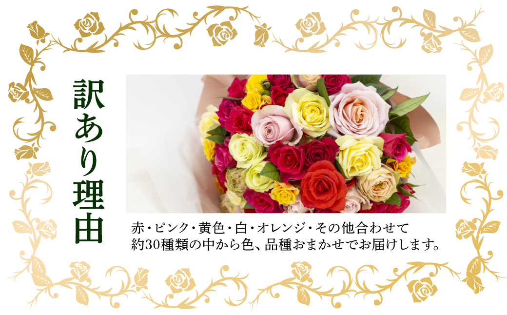 産地直送 ミニバラ 花束 50本 [申込から3か月以内 お届け] ラッピング付 切花 切り花 カットローズ 品種 色 おまかせ 訳あり 訳アリ 四季咲き ミニ バラ 花 ガーデニング 生産量 日本一 ※沖縄 離島配送不可 薔薇 セントラルローズ [mt2085]