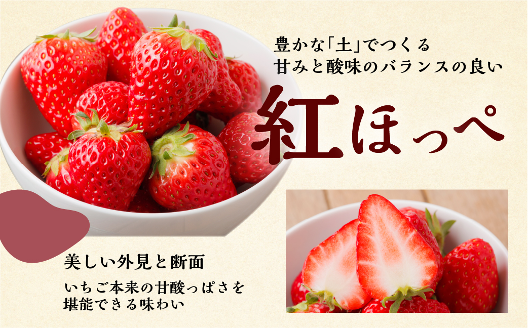 【定期便3回】自宅用 いちご 紅ほっぺ 600-700g ×3回 [しあわせ苺] サイズ バラバラ 訳あり 訳アリ 農園直送｜フルーツ スイーツ 苺 イチゴ 人気 簡易梱包 家庭用 産地直送 いちご 激甘 岐阜県 本巣市 先行予約 [mt208]