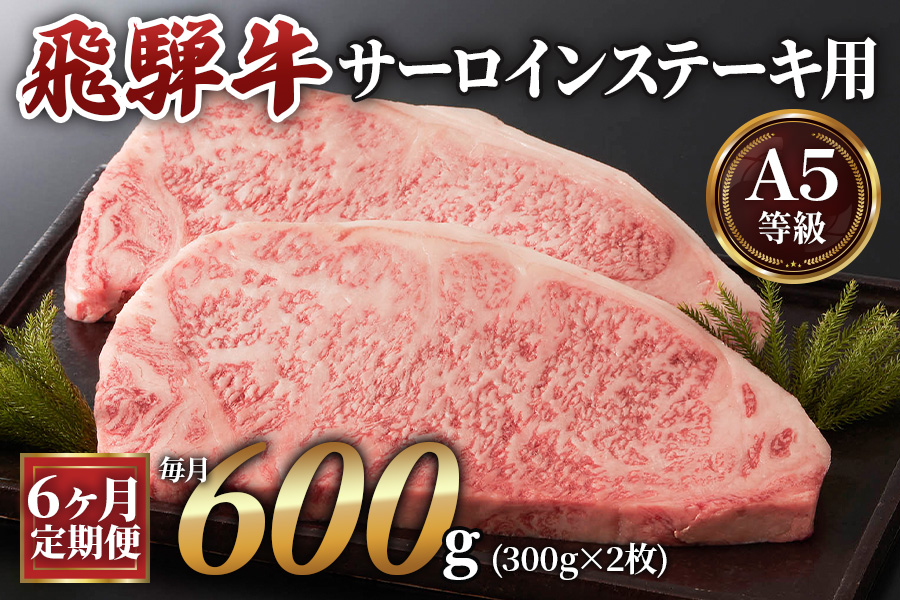 [6ヶ月定期便][A5等級]飛騨牛サーロインステーキ用 600g(300g×2枚) [0342]