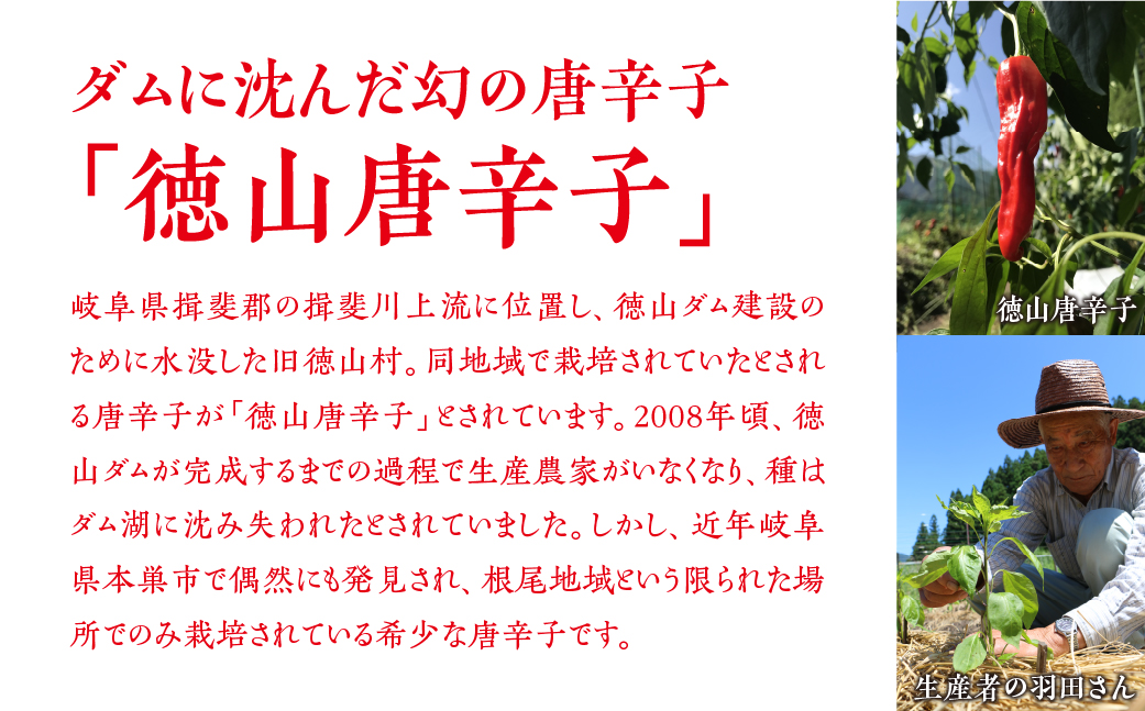【定期便6回】餃子バラエティ（辛餃子あり）人気餃子 食べ比べ ぎふ絶品餃子 飛騨牛 餃子 もとす織部 モーニング餃子 宇宙餃子 唐辛子餃子 冷凍餃子 業務用 ぎょうざ ギョウザ 冷凍 グルメ お取り寄せ グルメ 冷凍食品 国産素材 肉 牛肉 豚肉 ジューシー もちもち [mt1863] 