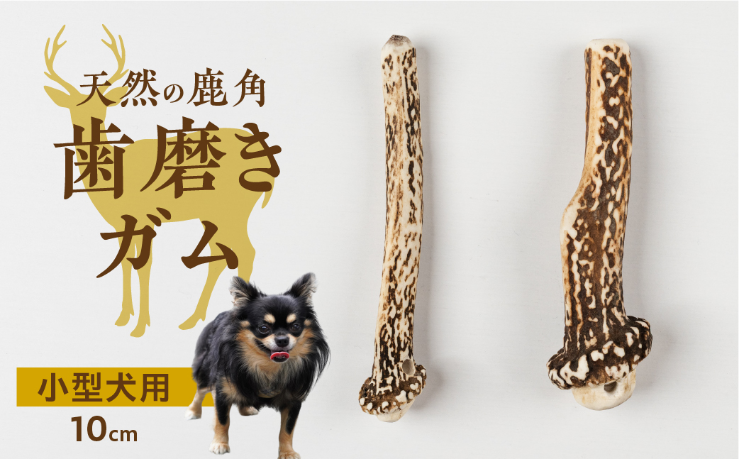 鹿角 犬用 歯磨きガム 10cm 2本 小型犬用 デンタルケア おもちゃ ペット用品 犬 消毒済み 国産 天然 [mt1805] 7000円