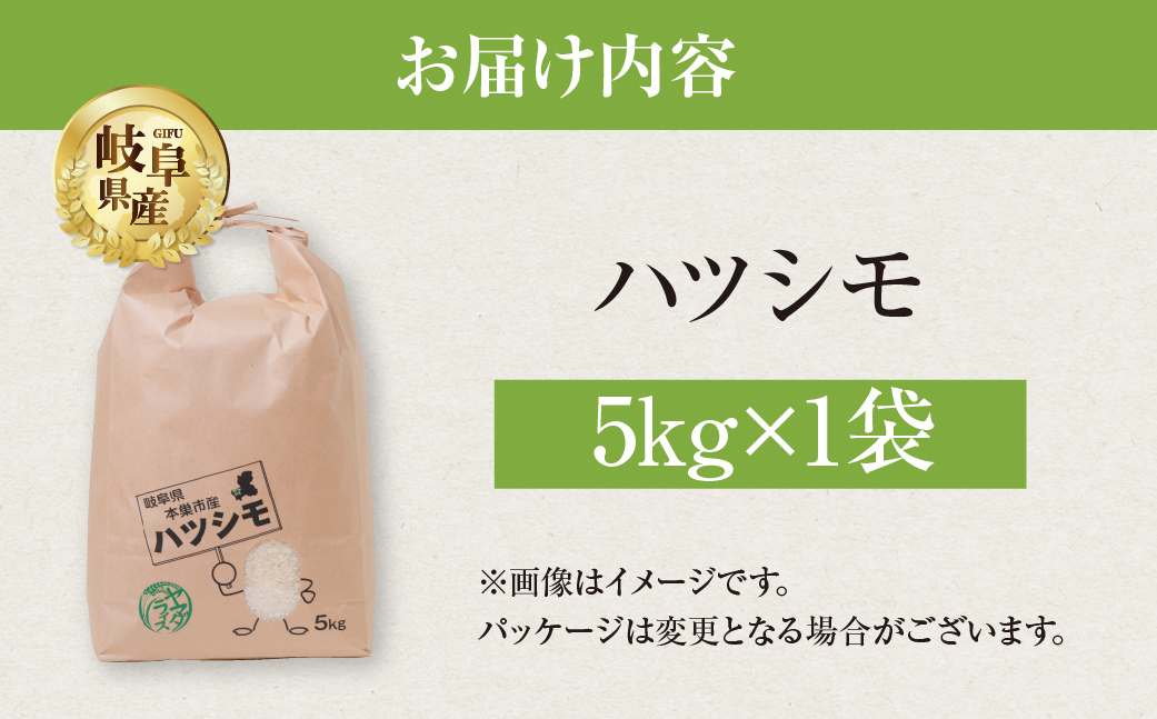 令和6年産 ハツシモ 5kg 米 こめ ごはん 白米 玄米 岐阜県産 本巣市 お米 精米 おにぎり 弁当 さっぱり 旨味 甘い 和食 寿司 岐阜県産 ヤマダライス