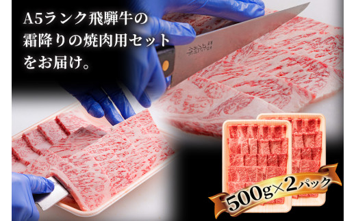 焼肉などに最適な飛騨牛スライスセット [A5等級] 飛騨牛焼肉用 1kg (500g×2パック)『ロース・肩ロース肉』[0167]