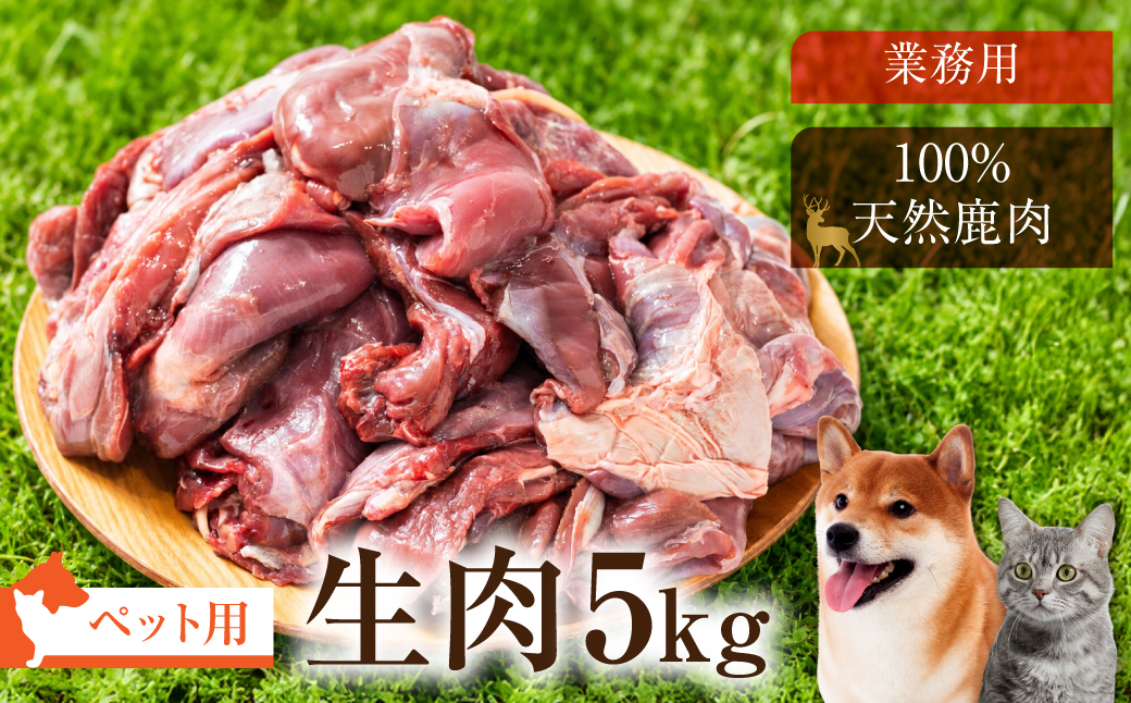 犬猫用 ジビエ 鹿 鹿肉 5kg　生肉 赤身 赤身肉 鹿 シカ 鹿肉 シカ肉 大容量 業務用 ペット 冷凍  20000円 2万円 [mt2199]