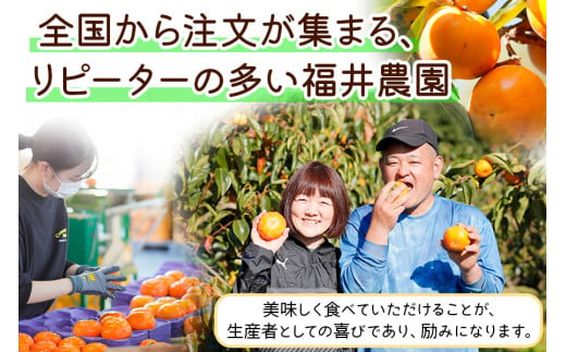 [先行予約／令和7年産]《柿の王様》福井農園の富有柿 2Lサイズ (12個入) [11月上旬～12月上旬に発送予定] 有機質の多い独自肥料で栽培 まろやかな味わいの富有柿 [mt240]