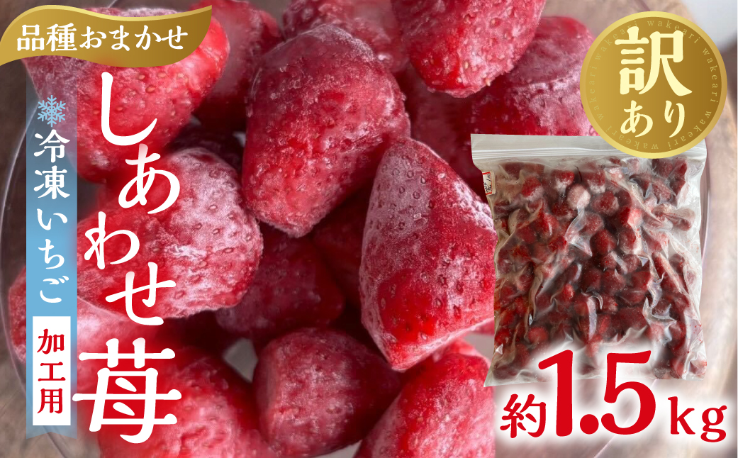 【2026年5月より発送】《 業務用の大袋 》 加工向きな 冷凍いちご 品種おまかせ 1.5kg 簡易梱包 サイズ 不揃い のため 訳あり 訳アリ フルーツ 果物 苺 いちご イチゴ アイス 紅ほっぺ よつぼし かおり野 ヨーグルト シャーベット 苺 family農園watanabe 子ども 家庭用 業務 加工向け 国産 産地直送 岐阜県 本巣市 8000円 8千円 [mt1561_omkase]