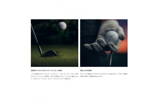 ゴルフボール] タイトリスト PRO V1X ローナンバー イエロー もとまる