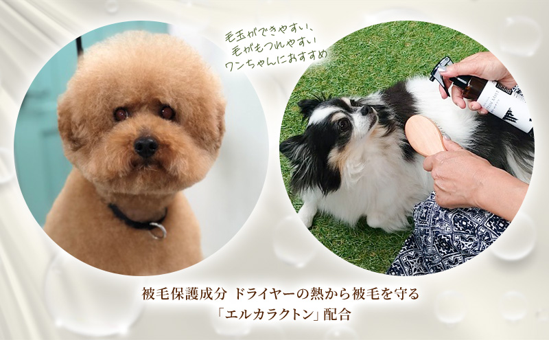 【犬用】リニューアル プロテインミスト 50ml・200ml セット