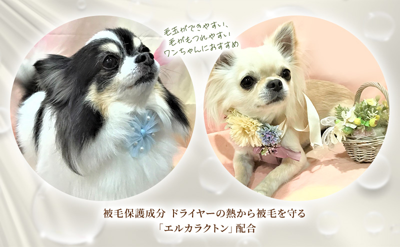 【犬用】リニューアル  プロテインミスト 50ml・200ml・詰替用 400ml セット