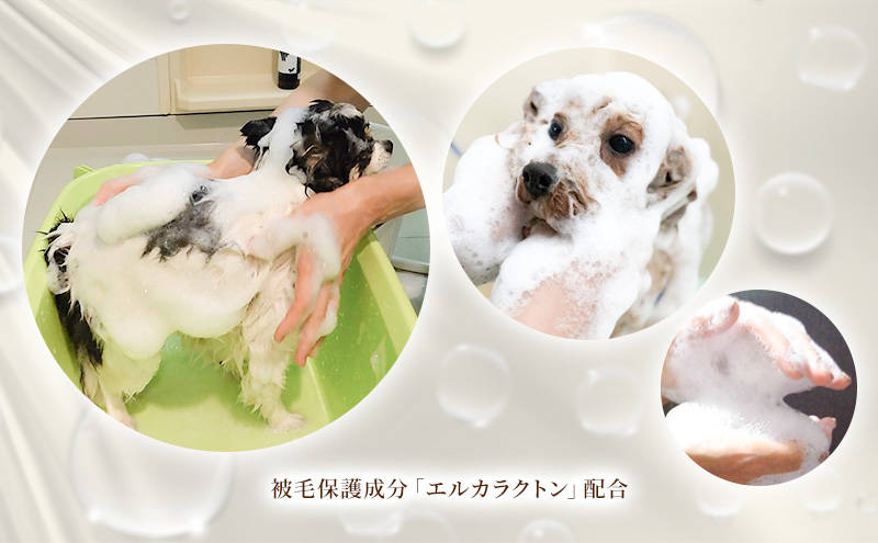 【犬用】リニューアル アーユルニームシャンプー 200ml・詰替用 400ml・プロテインミスト 50ml・ 200ml・詰替用 400ml セット