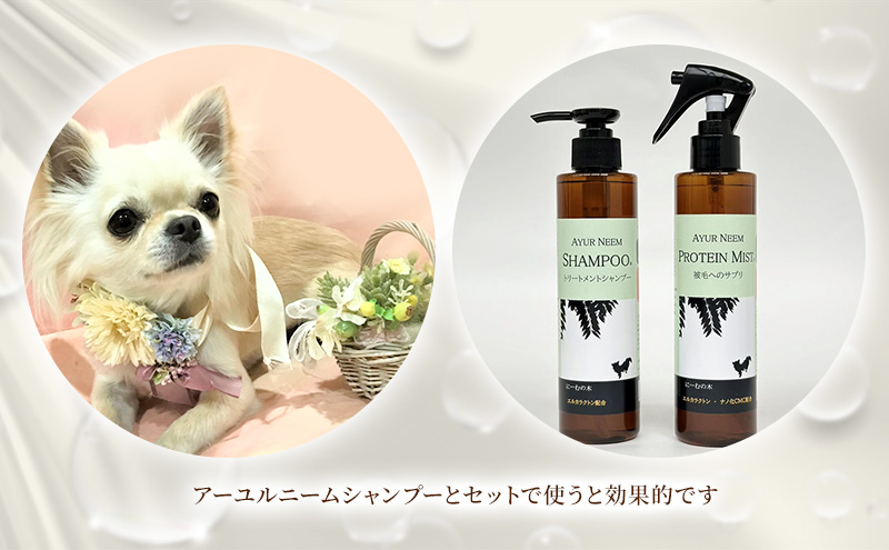 【犬用】リニューアル プロテインミスト　200ml（ふんわりサラサラの仕上がり・アーユルニームシャンプーとセットで使うと効果的）