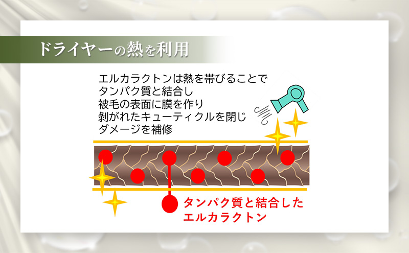 【犬用】リニューアル プロテインミスト　200ml（ふんわりサラサラの仕上がり・アーユルニームシャンプーとセットで使うと効果的）