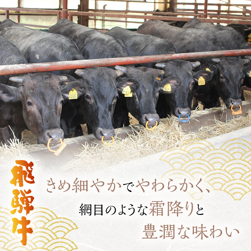 飛騨牛 サーロイン 岐阜県海津市産 焼肉 500g 牛肉