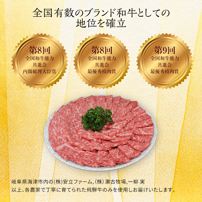 飛騨牛 サーロイン 岐阜県海津市産 焼肉 500g 牛肉